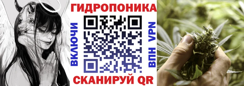 Как найти наркотики Калач-на-Дону Альфа ПВП  Меф  Галлюциногенные грибы  МДМА  ГАШИШ 