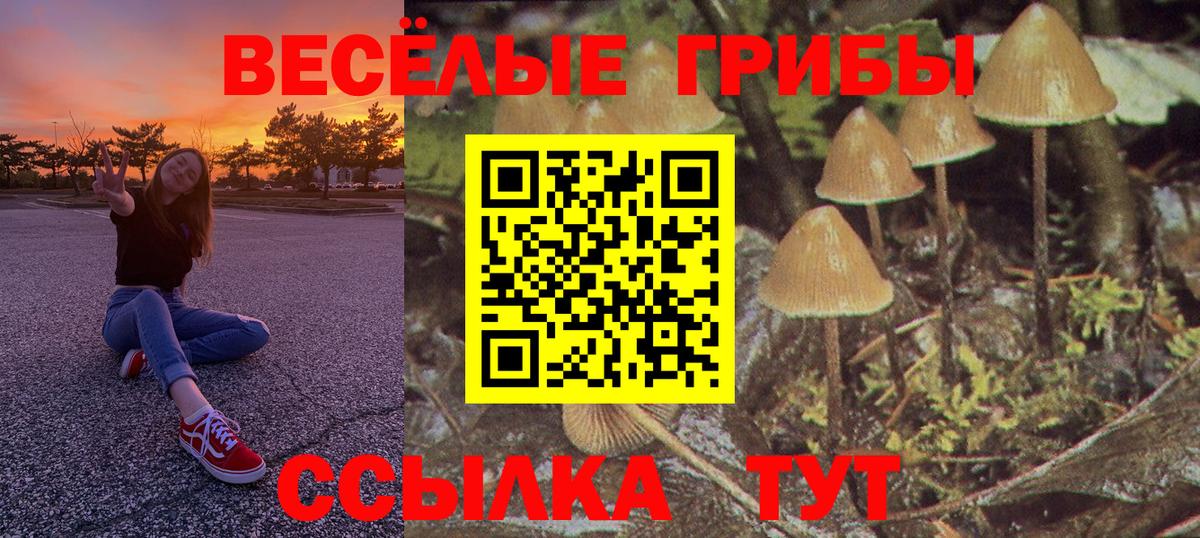 Галлюциногенные грибы Magic Shrooms Калач-на-Дону
